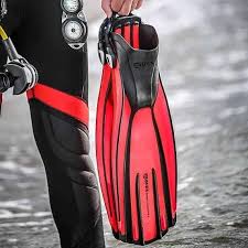 Image result for Diveline