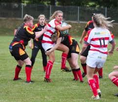 Image result for Chard Rugby Football Club