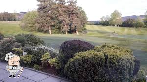 Image result for Aberdare Golf Club