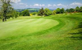 Image result for Vale Of Leven Golf Club