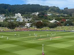 Image result for Appleton Cricket Club