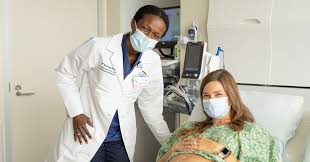 Attēlu rezultāti vaicājumam “Pandemis cinnamomeana female”