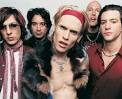 ROCK CINEMA   DVD COLLECTION   BUCKCHERRY