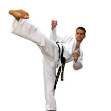 Image result for Synergy Tae Kwon Do