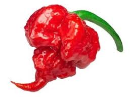 Afbeeldingsresultaat voor 7 pot hot pepper