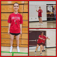 Image result for Meadow Sports Badminton Club