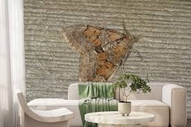 Attēlu rezultāti vaicājumam “Thera variata”