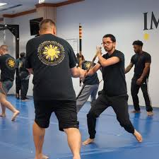 Image result for Impact Martial Arts
