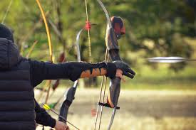 Image result for Row Brow Field Archery