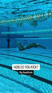 Image result for Gosport Dolphins Swimming Club