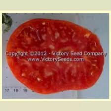 Afbeeldingsresultaat voor prudence purple tomato