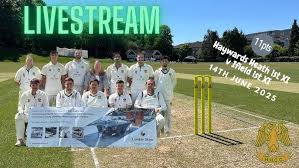Image result for Ifield CC