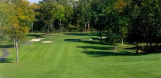 Image result for Fox Gc