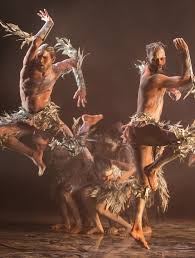 Image result for Surrey Young Dancemakers