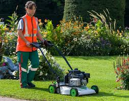 Image result for etesia tehron