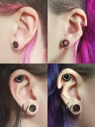 Image result for ear mod