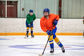 Image result for Adur Skater Hockey Club