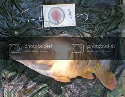 Image result for DRAYTON ANGLING CLUB