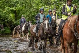 Image result for The Riding Centre