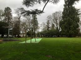 Image result for Cedars Badminton Club