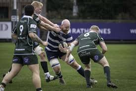 Image result for Hawick Rugby Football Club