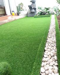 Image result for Astroturf