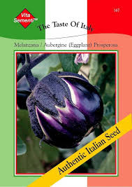 Afbeeldingsresultaat voor melanzana prosperosa eggplant
