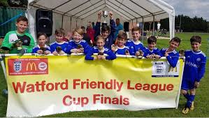 Image result for Borehamwood Crusaders