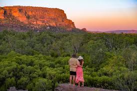 Billedresultat for kakadu n...