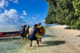 Image result for Caledonia Wpc