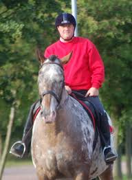 Image result for Scottish Equi Complex