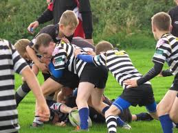 Image result for Ciyms Rugby Football Club