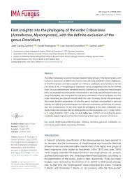 Attēlu rezultāti vaicājumam “Enteridium variabile spores”