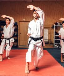 Image result for Beeches Martial Arts