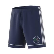 Image result for Fenton Cricket Club