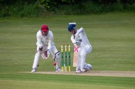 Image result for Bere Regis Cricket Club
