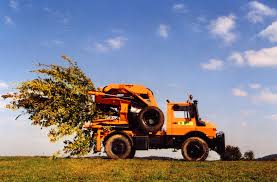 Image result for optimal tehron