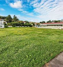 Image result for Marlborough Bowls Club