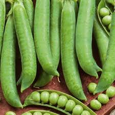 Image result for Erbsen