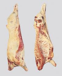 Image result for media res