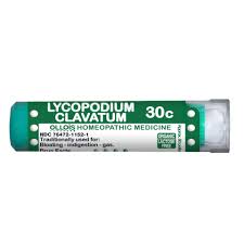 Attēlu rezultāti vaicājumam “Lycopodium clavatum”