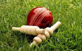 Image result for Long Whatton Cricket Club