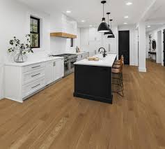 Image result for White Oak Aikido Whitton