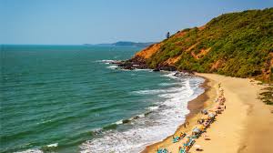 Image result for goa beaches