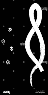 Attēlu rezultāti vaicājumam “Trichia alpina young”