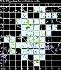 Attēlu rezultāti vaicājumam “Hypatima rhomboidella”
