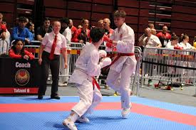 Image result for Plymouth Karate Club Kyokai