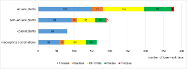 Attēlu rezultāti vaicājumam “Pseudobryum cinclidioides cells”