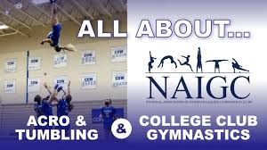 Image result for Biddick Sports College Community Gymnastics Club