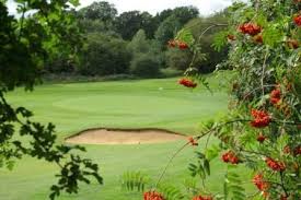 Image result for Verulam Golf Club Ltd